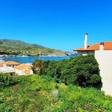 Andros Apartment - Lasia Екстериор снимка