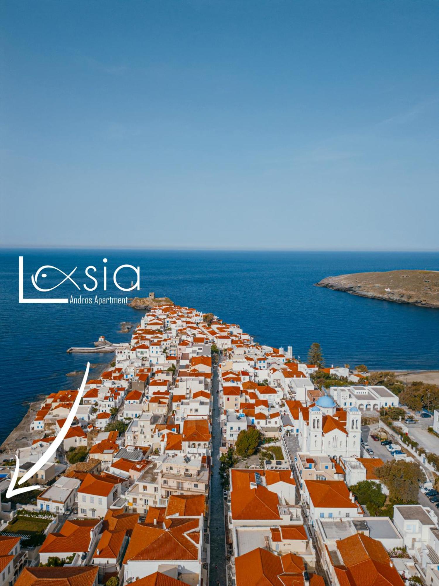 Andros Apartment - Lasia Екстериор снимка